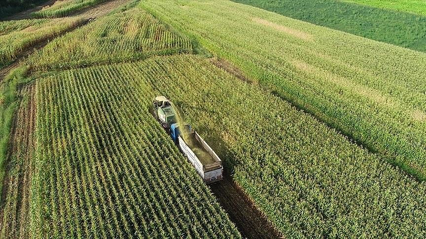 IPARD-III Programı kapsamında kırsaldaki üreticiler ile yatırımcılara temmuzda 634,3 milyon lira ödendi
