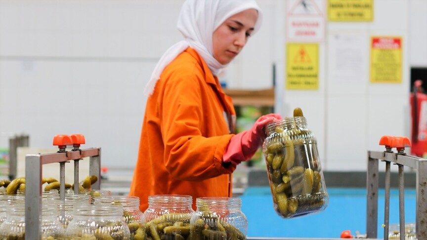 Türkiye'nin 9 aylık turşu ihracatı 301 milyon doları aştı