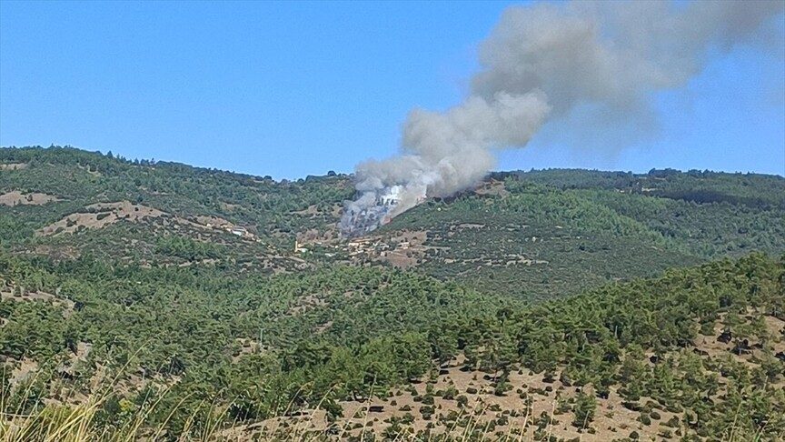 Bursa'da çıkan orman yangını kontrol altına alındı