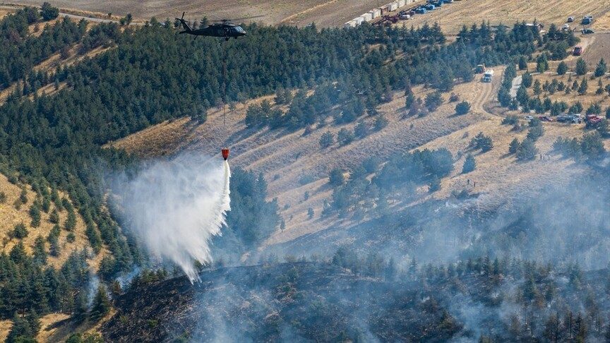Ankara'da ormanlık alanda çıkan yangın söndürüldü