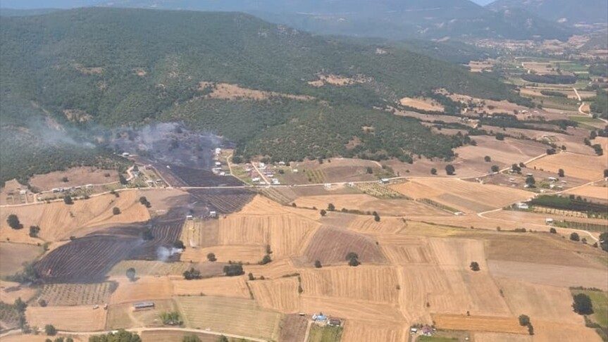 İzmir'de ormanda etkili olan yangın kontrol altına alındı