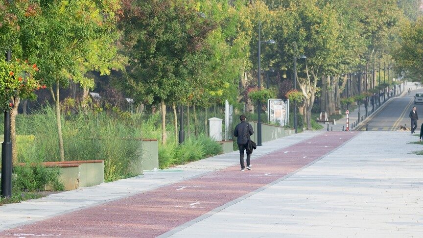 Türkiye "yeşil kampüslerde" Avrupa'nın zirvesinde yer aldı