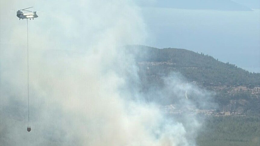Bodrum'da çıkan orman yangını kontrol altına alındı